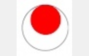 Coupe de Noël - Challenge MIYAZAKI